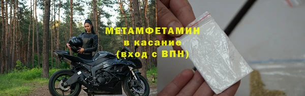 мет Алексин