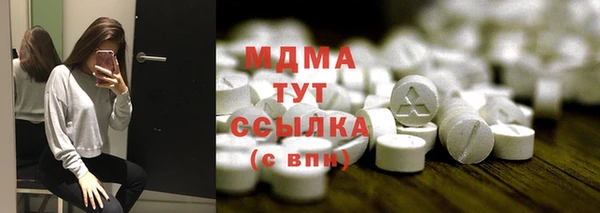 мет Алексин