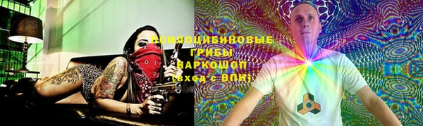 мет Алексин