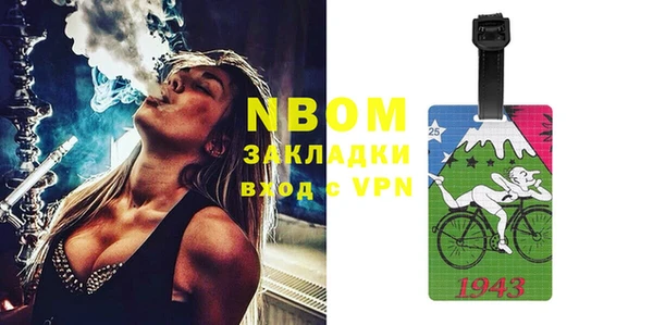 шишки Алзамай