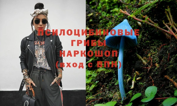 шишки Алзамай