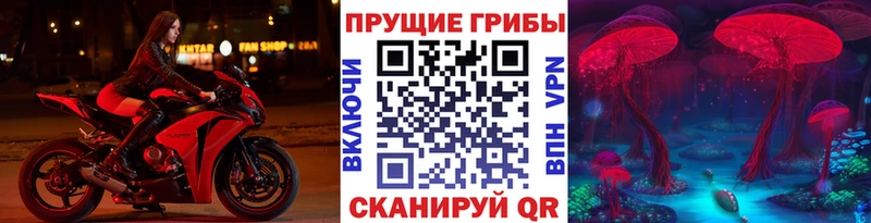 купить наркотик Клин сайты даркнета Telegram Псилоцибиновые грибы прущие грибы OMG зеркало
